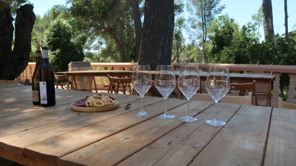 From Valencia: Utiel-Requena Wine Tour and Traditional Lunch - Review Summary