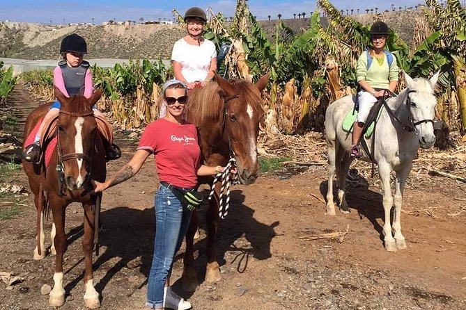 Fruit Farm Horse Riding - Cancellation Policy Details