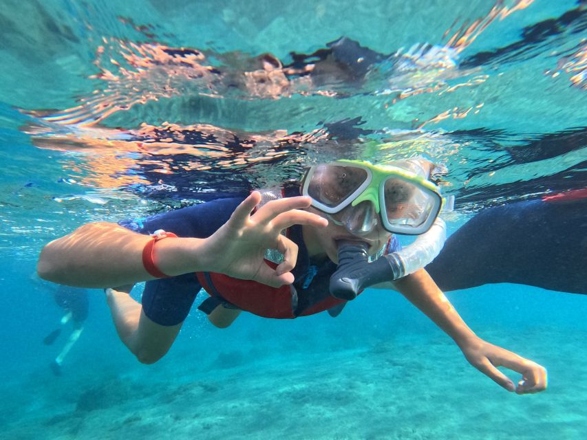 Fuerteventura: Guided Snorkeling in La Lajita With Pickup - Customer Reviews and Feedback