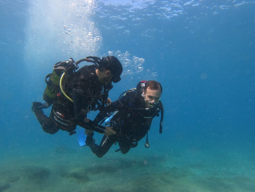 Fuerteventura: Introductory Dive in La Lajita With Pickup - Background