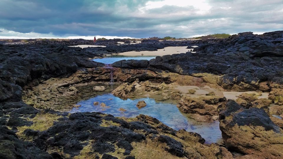 Fuerteventura: Trekking Tour Through the North of the Island - Customer Reviews