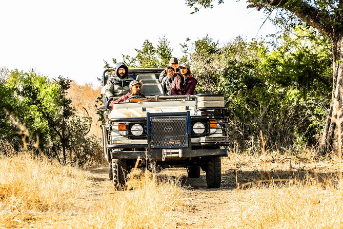 Full-Day Big 5 Safari From Hazyview - Reviews and Ratings