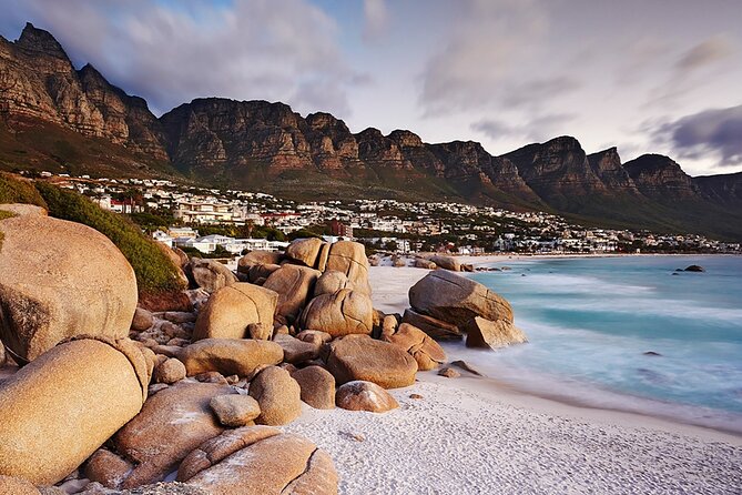 Full Day Cape Peninsula Tour - Cancellation and Amendment Policy