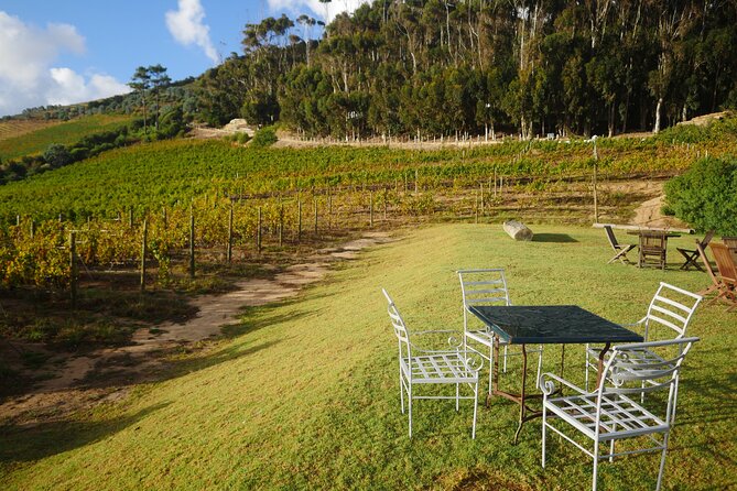 Full-Day Constantia Wine Tour From Cape Town - Additional Information