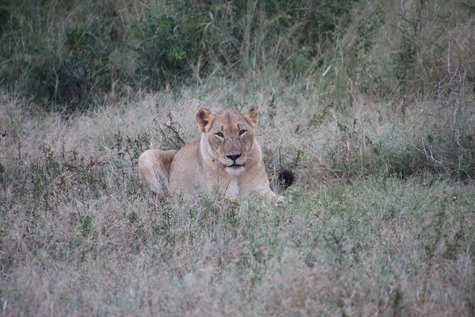 Full-Day Family Hluhluwe Imfolozi Park Safari Experience - Booking and Reservation Process