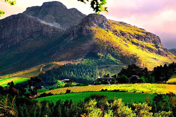 Full-Day Franschhoek Wine Tour From Cape Town - Booking Information and Pricing