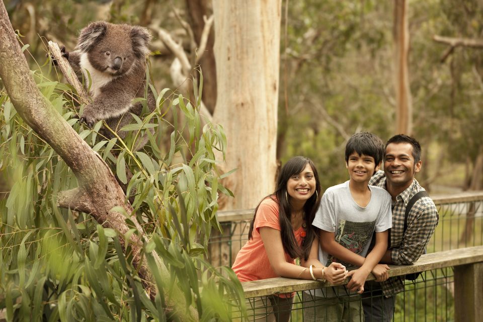 Full-Day Private Australian Wildlife Tour of Phillip Island - Reviews and Participant Feedback