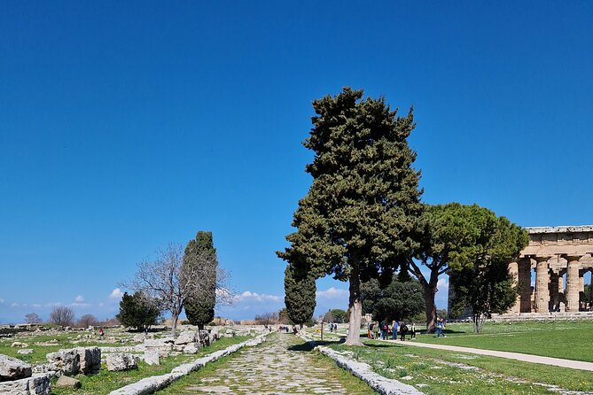 Full Day Private Tour-Temples of Paestum and Ruins of Pompeii - Customer Reviews and Ratings
