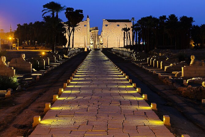 Full Day Private Tour to East and West Banks of Luxor - Tour Guide and Transportation