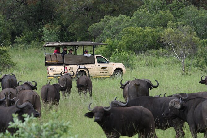 Full Day Safari Shared Tour at Kruger National Park - Booking Information