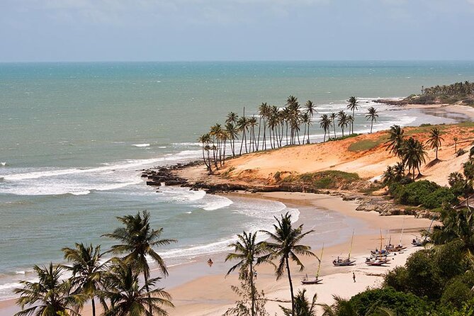 Full Day Tour to Praia Da Lagoinha From Fortaleza - Reviews and Ratings