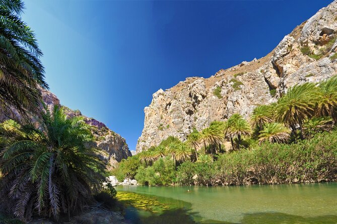 Full-Day Tour to Preveli Palm Beach From Chania - Guided Nature Walk