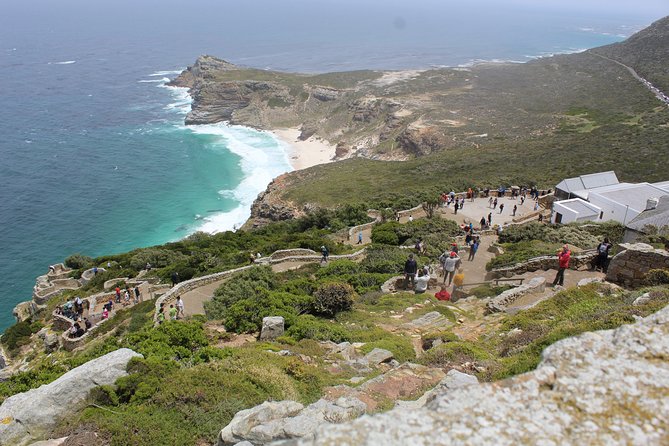 Full Day Visit to Cape Point Cape of Good Hope for Special Needs From Cape Town - Common questions