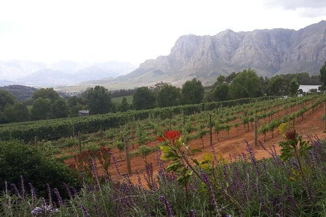 Full Day Wine Tasting in Stellenbosch, Franschoek & Paarl Fees Included - Visit to Spice Route