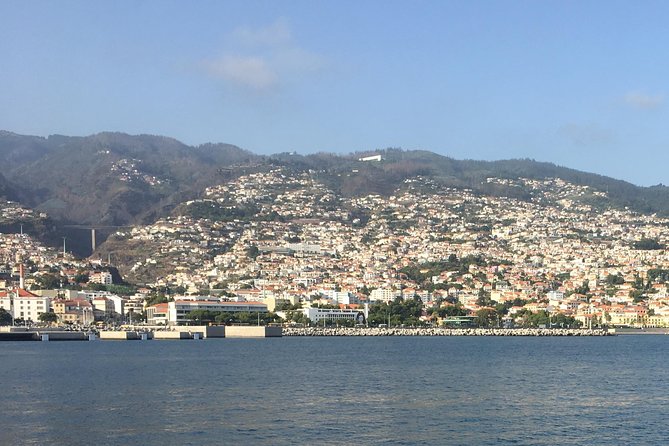 Funchal, Madeira Short Visit Shore Excursion - Tour Highlights