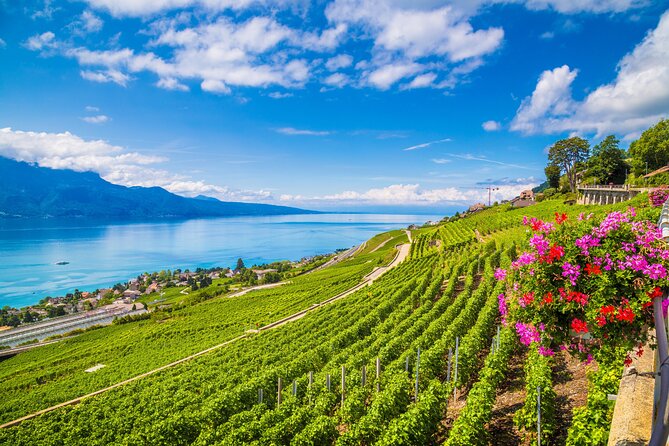 Gems of Lausanne Revealed: A Private Walking Tour - Inclusions