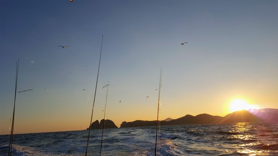 Geoje Island: Deep Sea Fishing - Jigging for Yellow Tail - Meeting Point Specifics