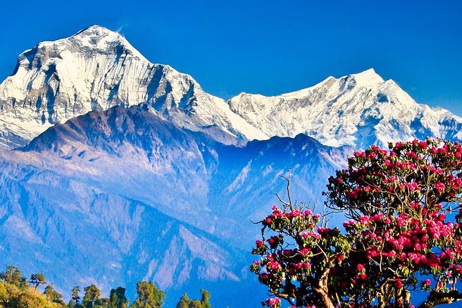 Ghorepani Ghandruk Trek - Exclusions and Recommendations