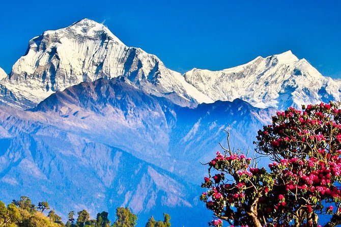 Ghorepani Poon Hill Trekking - 6 Days - Additional Inclusions