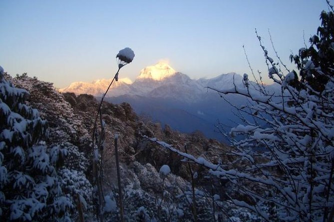 Ghorepani Poonhill Trekking - 9 Days - Meeting and Pickup Instructions