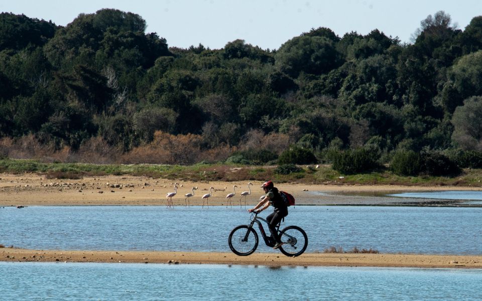 Gialova: Navarino Bay E-Bike Tour With Waterfall Swim - Booking Information