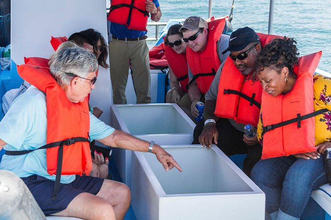 Glass-Bottom Boat Ride and Snorkel Tour in Cabo San Lucas - Additional Tour Information