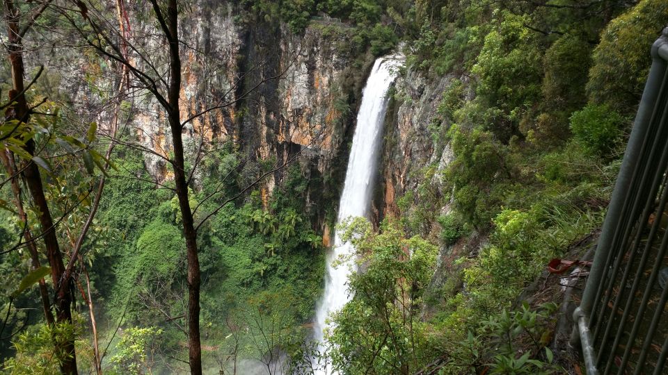 Gold Coast: Natural Bridge & Springbrook Waterfalls Tour - Meeting Point Details