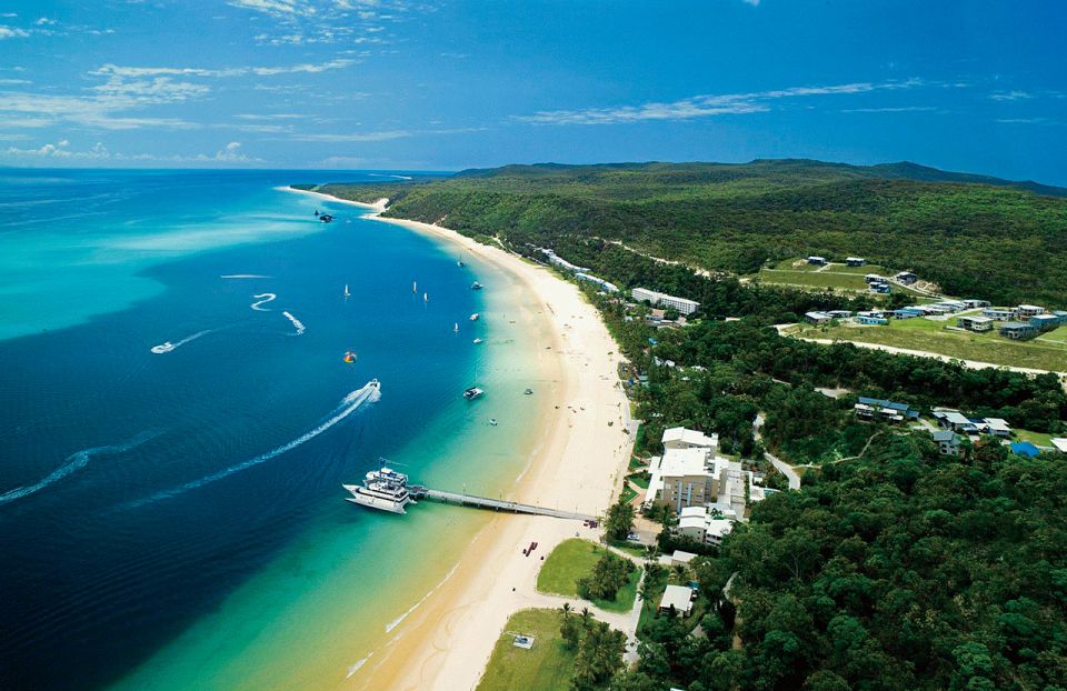 Gold Coast: Tangalooma Beach Day Cruise With Bus Transfers - Highlights