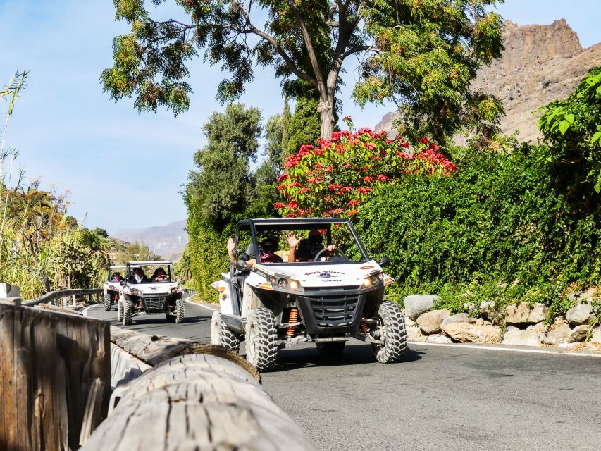 Gran Canaria Guided Buggy Tour - Customer Feedback