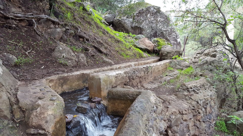 Gran Canaria: "Magic Waterfalls" Hiking Tour - Inclusions