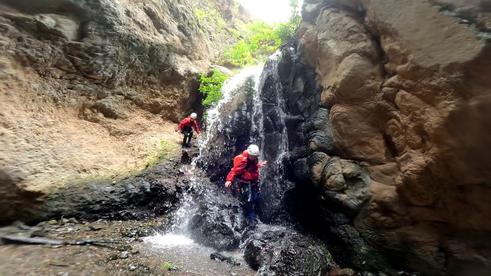 Gran Canaria: Rainforest Canyoning Tour With Gear and Snack - Route Description and Price Information