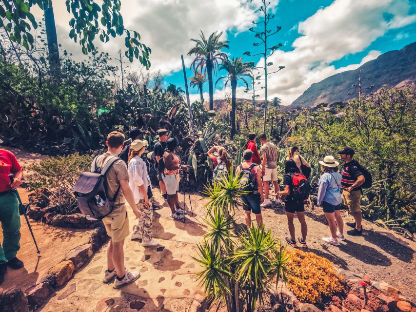 Gran Canaria: the Red Canyon Tour With Local Food Tasting - Booking Information