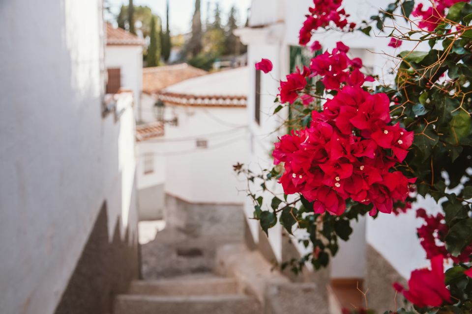 Granada: Albaicín and Sacromonte Walking Tour - Customer Reviews