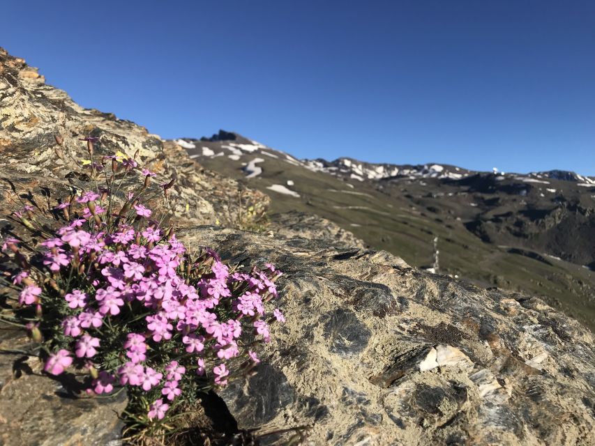 Granada: High Sierra Nevada Hiking Experience - Moderate Hike With Stunning Views