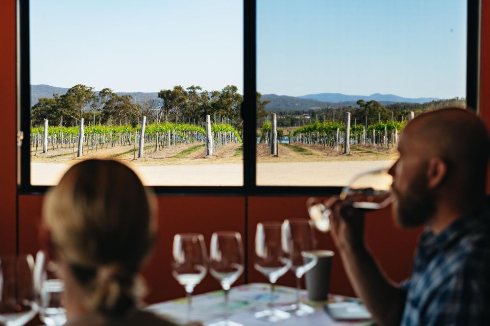 Granite Belt: Winemakers Winetasting Experience & Cheese - Wine Selection and Education