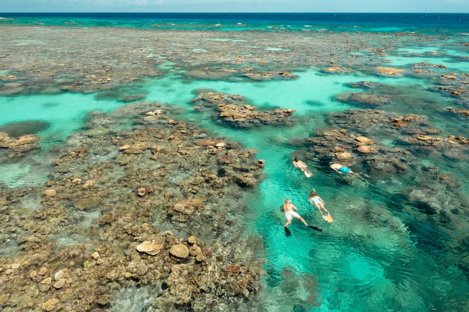 Great Barrier Reef Snorkel & Dive Full-Day Adventure - Travel Itinerary