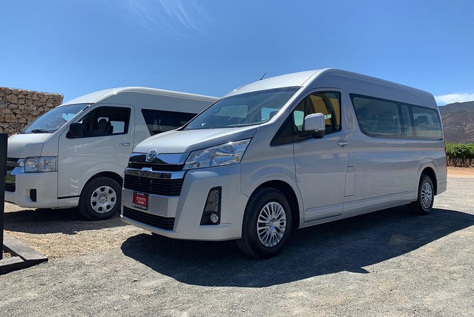 Guadalupe Valley Private Driver Tour - Winery Tasting Experience