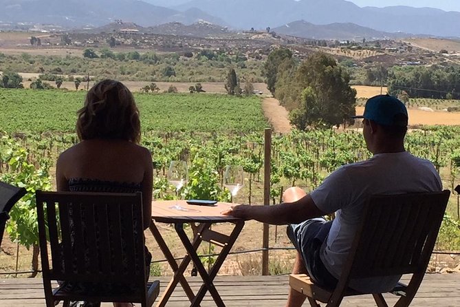 Guadalupe Valley Wine Route Tour in Baja California - Guide and Winery Experiences