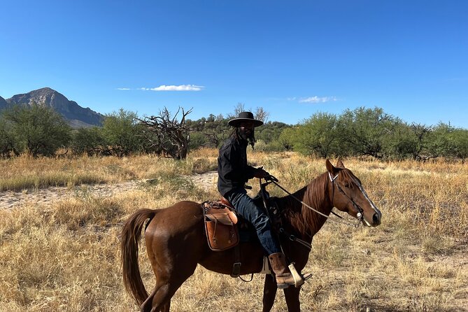 Guided 2 Hour Horseback Ride Catalina State Park Coronado Forest - Traveler Reviews and Testimonials