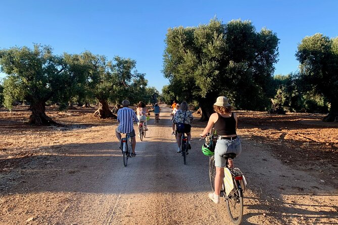 Guided Bike Tour of Monopoli Countryside  - Alberobello & Locorotondo - Customer Support