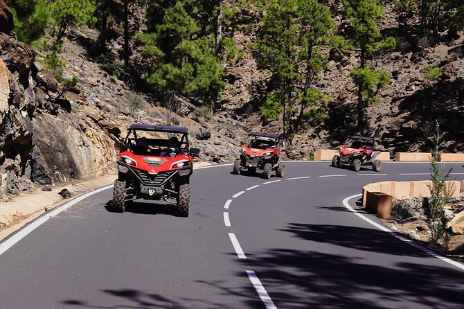 Guided Buggy Tour Through Teide National Park - Last Words