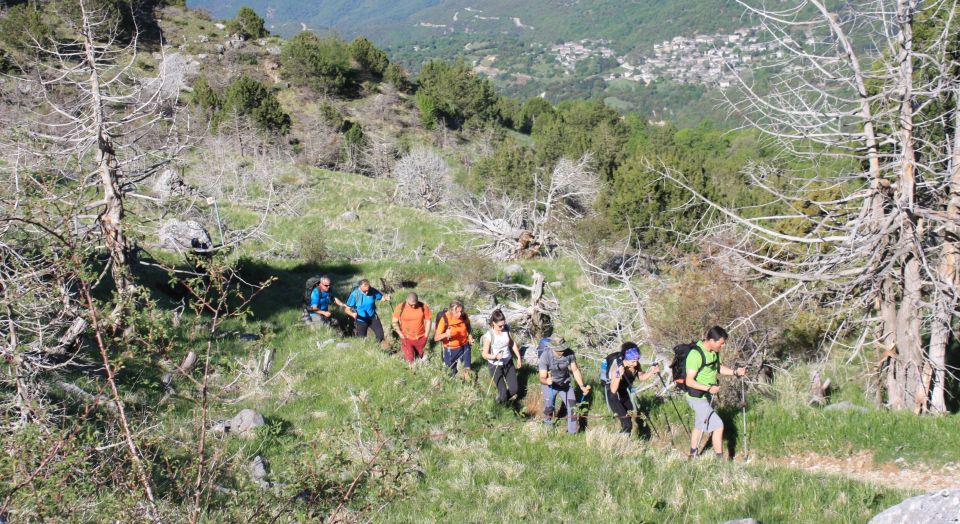 Guided Hiking Tour to the Dragon Lake of Mountain Tymfi - Inclusions