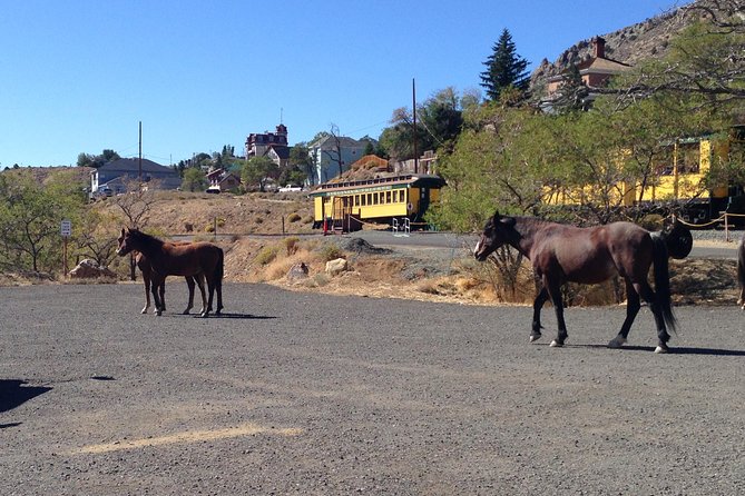 Guided Tour of Historic Virginia City and Carson City From South Lake Tahoe - Booking Information