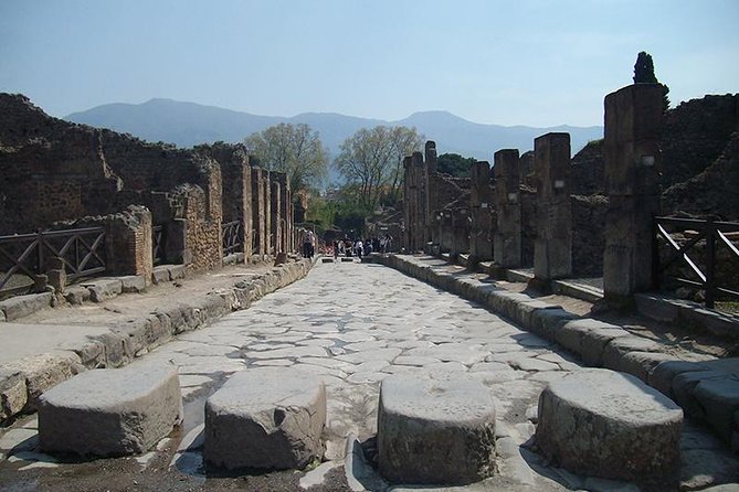 Guided Tour of Pompeii With Lunch and Entrance Ticket Included - Cancellation Policy Insights