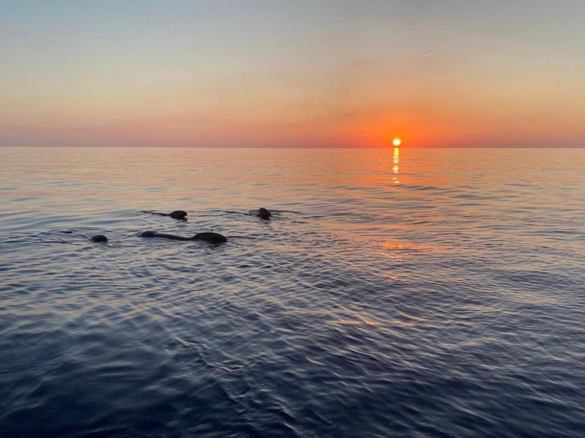 Gulf of Calvi & Sunset Aperitif - Meeting Point