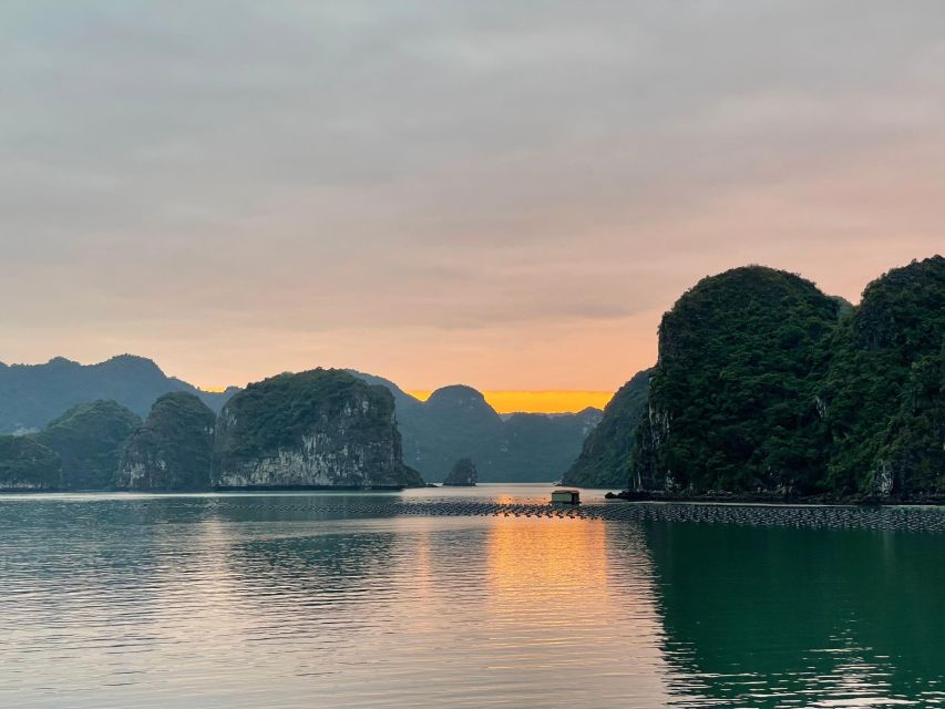 Ha Long Bay Cruise Day Tour - Cave, Kayaking and Lunch - Dining and Entertainment