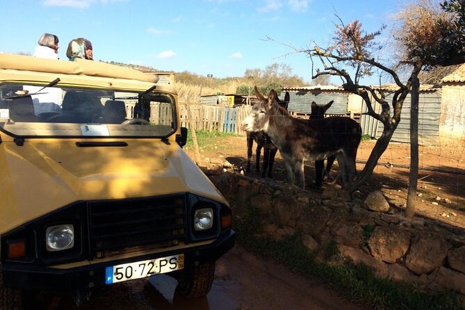 Half-Day Algarve Jeep Safari Sunset Tour - Packing List