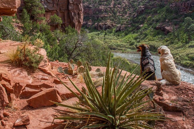 Half-Day Arkansas River - The Numbers Rafting Tour - What to Bring