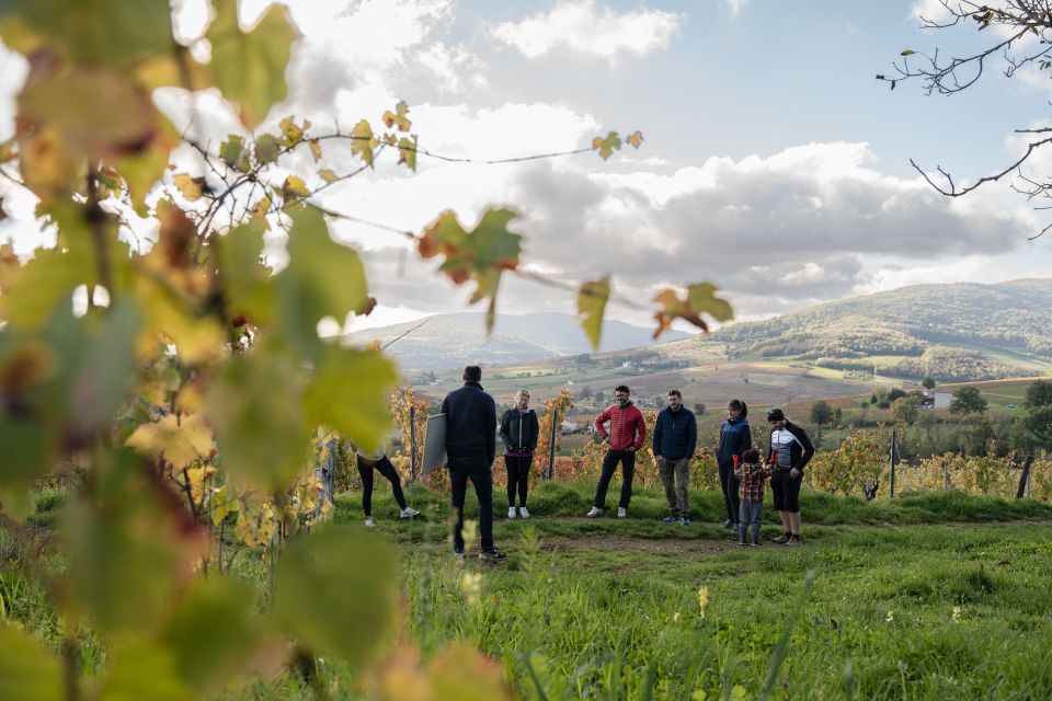 Half Day Bike Guided in Beaujolais - Mont Brouilly and Wine - Reviews