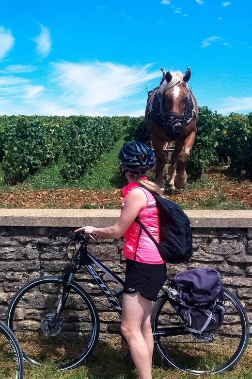Half Day Bike & Wine Tour in Burgundy - Meeting Point Information